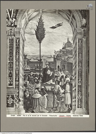 Vorderseite von bh062896_recto