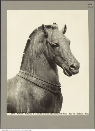 Vorderseite von Alinari [https://www.deutsche-digitale-bibliothek.de/content/lizenzen/rv-ez/] Quadriga, sog. Pferde von San Marco (Cavalli di San Marco) - Detail eines Pferdes, Kopf, bh063471_recto. Foto.