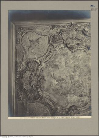 Vorderseite von Alinari [https://www.deutsche-digitale-bibliothek.de/content/lizenzen/rv-ez/] Casino VenierSala da Gioco (I) - Stuckdecke, Ausschnitt, bh063815_recto. Foto.