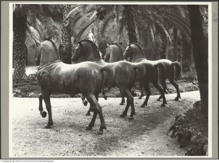 Vorderseite von ICCD [https://www.deutsche-digitale-bibliothek.de/content/lizenzen/rv-ez/] Quadriga, sog. Pferde von San Marco (Cavalli di San Marco) - Die Pferde im Palazzo Venezia, Rom (1915/1918), bh064210_recto. Foto.