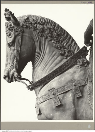 Vorderseite von bh064244_recto