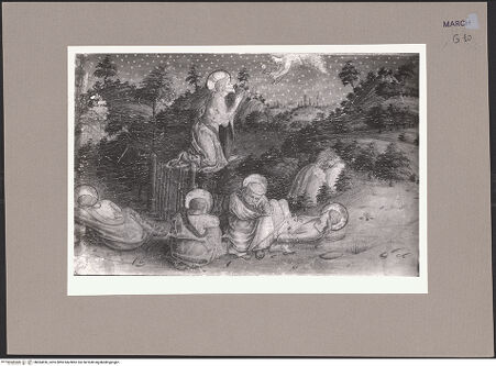 Vorderseite von bh064696_recto