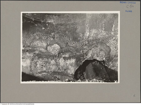 Vorderseite von Sopr.Mon.Lazio [https://www.deutsche-digitale-bibliothek.de/content/lizenzen/rv-ez/] Freskenzyklus mit Propheten und Szenen aus dem Leben ChristiDas letzte Abendmahl - Detail: Jünger, bh064936_recto. Foto.