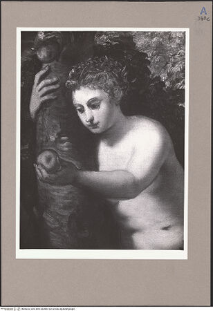 Vorderseite von bh065353_recto