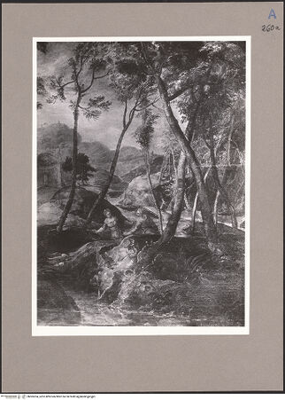 Vorderseite von bh065354_recto