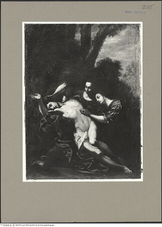 Vorderseite von bh065473_recto