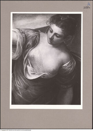 Vorderseite von bh065498_recto