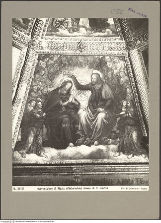 Vorderseite von bh065590_recto