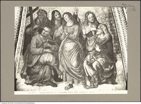 Vorderseite von bh065591_recto