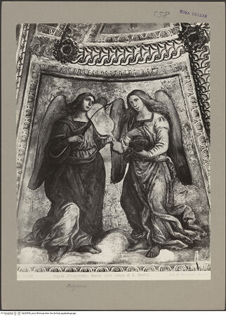 Vorderseite von bh065596_recto