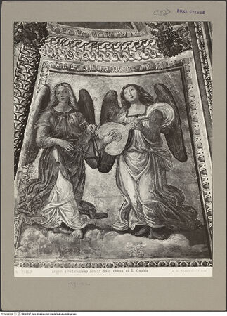 Vorderseite von bh065597_recto