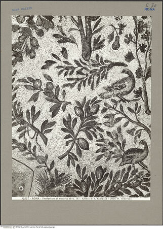 Vorderseite von Alinari [https://www.deutsche-digitale-bibliothek.de/content/lizenzen/rv-ez/] Mosaik mit Pflanzen, Vögeln und weiteren Motiven - Detail, bh065850_recto. Foto: Anderson, Domenico.