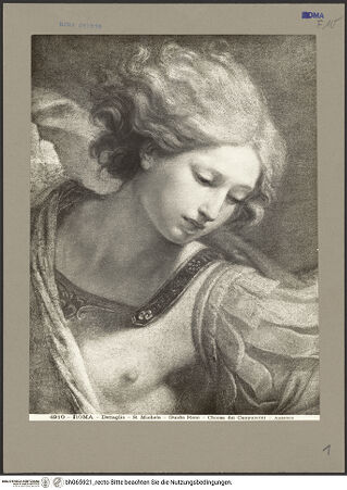 Vorderseite von bh065921_recto