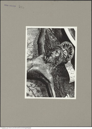 Vorderseite von bh066145_recto