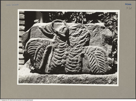 Vorderseite von bh066229_recto