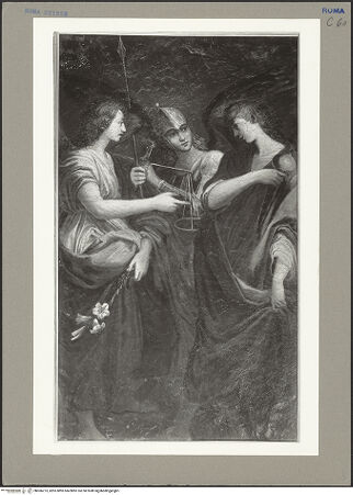 Vorderseite von bh066273_recto