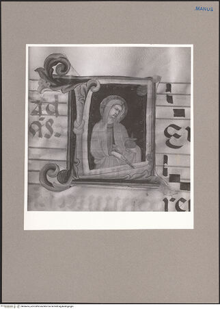 Vorderseite von bh066414_recto