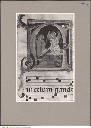 Vorderseite von bh066417_recto