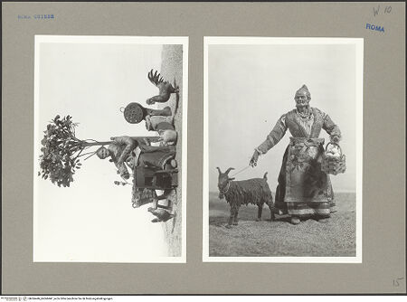 Vorderseite von bh066446_bh066447_recto