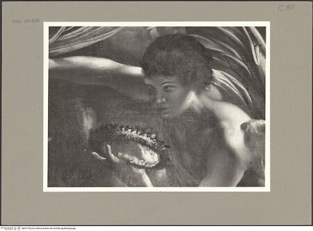 Vorderseite von bh067314_recto