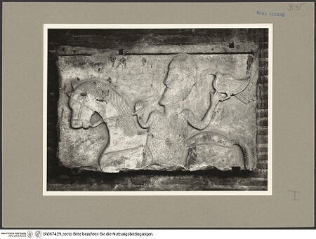 Vorderseite von bh067429_recto