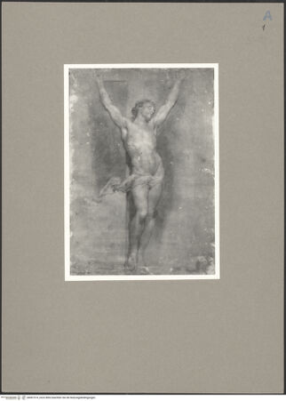 Vorderseite von bh067514_recto