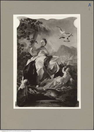 Vorderseite von bh067519_recto