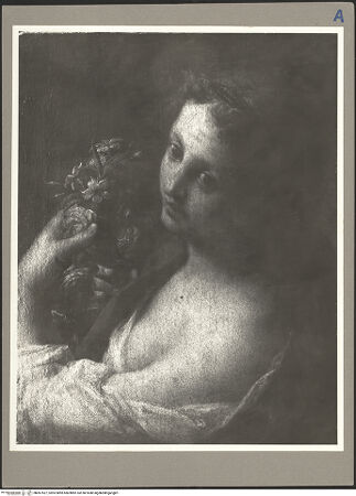 Vorderseite von bh067527_recto