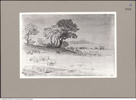 Vorderseite von bh067871_recto