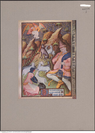 Vorderseite von bh067911_recto