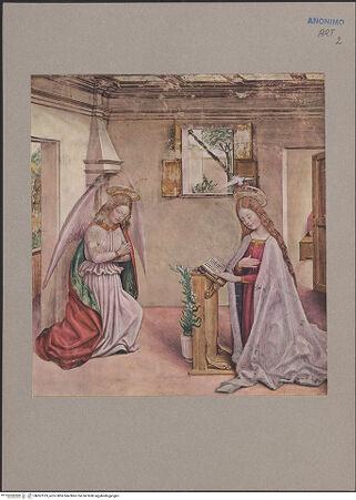 Vorderseite von bh067919_recto