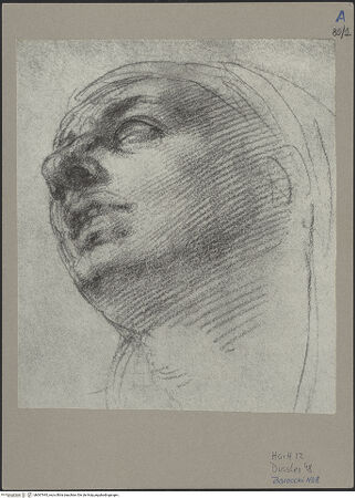 Vorderseite von bh067945_recto