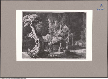 Vorderseite von bh067980_recto