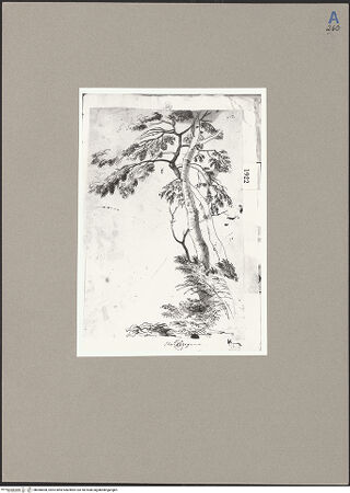 Vorderseite von bh068008_recto