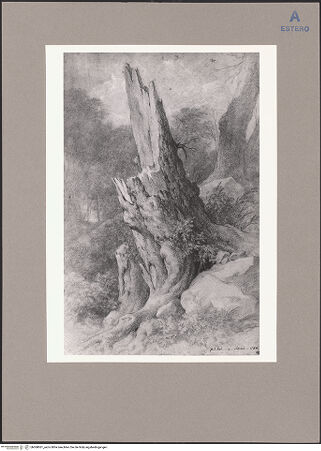 Vorderseite von bh068061_recto