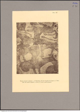 Vorderseite von unbekannt [https://www.deutsche-digitale-bibliothek.de/content/lizenzen/rv-fz/] Fußbodenmosaik des Mittelschiffes (Lebensbaum, Alexander der Große, der Turm von Babel, Geschichte des Noah, Monatsarbeiten, der Sündenfall, Abel und Kain, König Artus) - Westlicher Teil, linke Seite, Detail: Löwe mit vier Körpern, bh068198_recto. Foto.