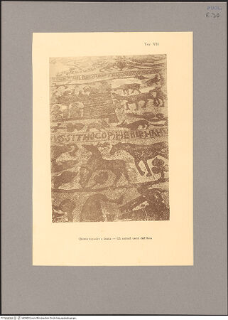 Vorderseite von unbekannt [https://www.deutsche-digitale-bibliothek.de/content/lizenzen/rv-fz/] Fußbodenmosaik des Mittelschiffes (Lebensbaum, Alexander der Große, der Turm von Babel, Geschichte des Noah, Monatsarbeiten, der Sündenfall, Abel und Kain, König Artus) - Mittelteil, rechte Seite, Detail: Arche Noah, bh068202_recto. Foto.