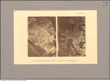 Vorderseite von unbekannt [https://www.deutsche-digitale-bibliothek.de/content/lizenzen/rv-fz/] Fußbodenmosaik des Presbyteriums (Der Baum der Erkenntnis, der Sündenfall, die Königin von Saba, Salomo, Tiere) - Mosaik der Vierung, Detail: Greif (links); Mosaik der Apsis, Detail: Hure von Babylon und Jona (rechts), bh068206_recto. Foto.