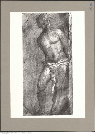 Vorderseite von bh068239_recto