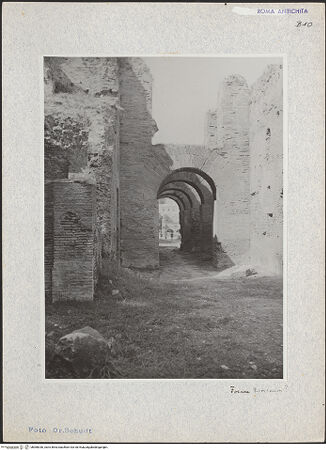 Vorderseite von bh068336_recto