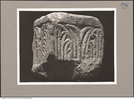 Vorderseite von bh068472_recto