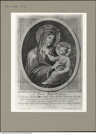 Vorderseite von bh068481_recto