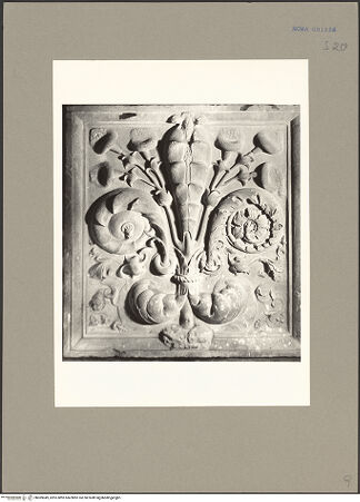 Vorderseite von bh069049_recto