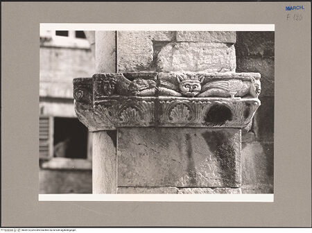 Vorderseite von Hanke [https://www.deutsche-digitale-bibliothek.de/content/lizenzen/rv-ez/] Kapitell mit Fabeltiere - Teilansicht, bh069153_recto. Foto.