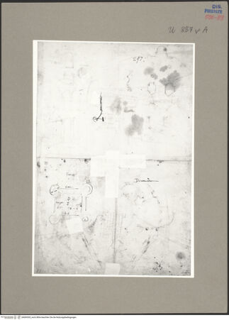 Vorderseite von Bibliotheca Hertziana [https://www.deutsche-digitale-bibliothek.de/content/lizenzen/rv-fz/] Jüngstes GerichtVier tubablasende Auferstehungsengel - Detail: dritter Engel von links, bh069305_recto. Foto: Sansaini, Renato.