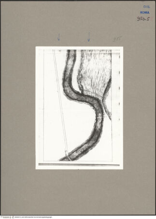 Vorderseite von bh069372_recto