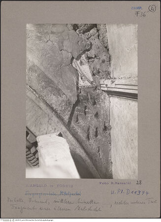 Vorderseite von Bibliotheca Hertziana [https://www.deutsche-digitale-bibliothek.de/content/lizenzen/rv-fz/] PortalObere Lünette: Von zwei Engeln getragenes Medaillon mit Maria ReginaFragment einer älteren Malschicht - Fragment einer älteren Malschicht, bh069767_recto. Foto: Sansaini, Renato.