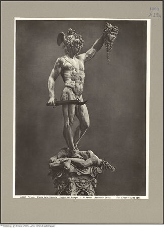 Vorderseite von bh069986_recto