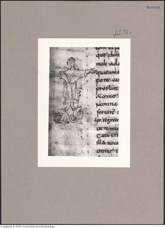 Vorderseite von bh070517_recto