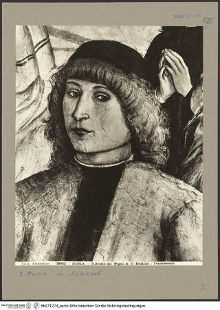 Vorderseite von Alinari [https://www.deutsche-digitale-bibliothek.de/content/lizenzen/rv-ez/] Szenen aus dem Leben des heiligen Bernhardin von SienaExequien des heiligen Bernhardin - Rechter Bildrand, Mann rechts, Detail: Oberkörper, bh071274_recto. Foto.